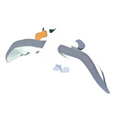 Albatross