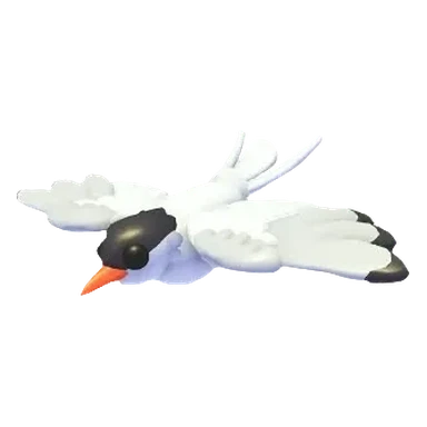 Arctic Tern