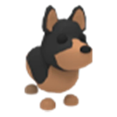 Australian Kelpie