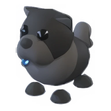 Black Chow-Chow