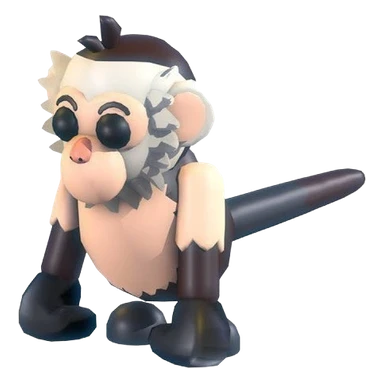Capuchin Monkey
