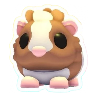 Chocolate Dutch Guinea Pig