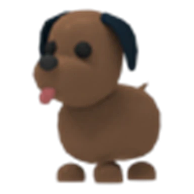Chocolate Labrador