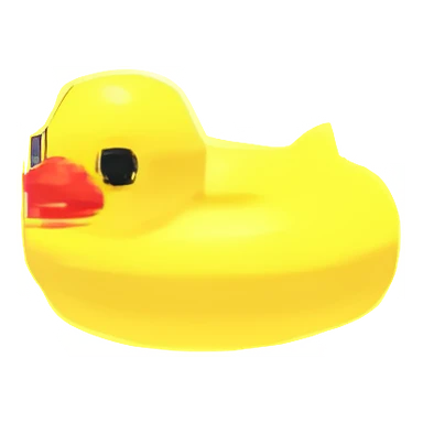 Duck Floatie