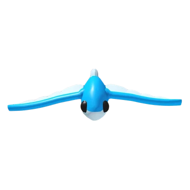 Flying Fish