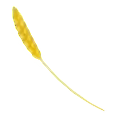 Golden Wheat