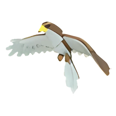 Hawk