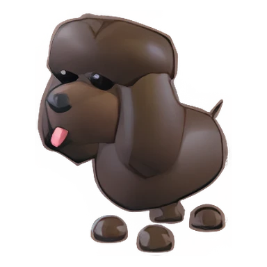 Irish Water Spaniel