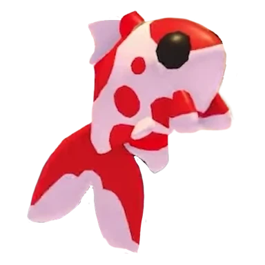Koi Carp