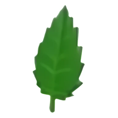 Leaf