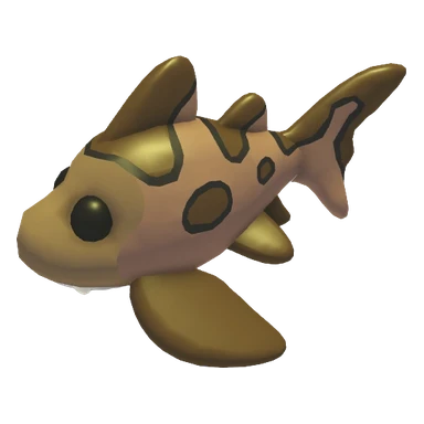 Leopard Shark