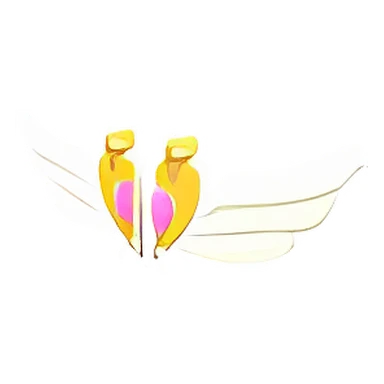 Magic Girl Wings