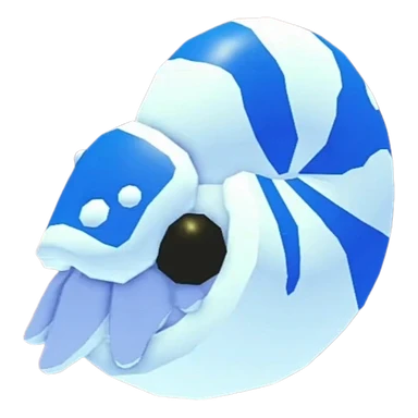 Nautilus