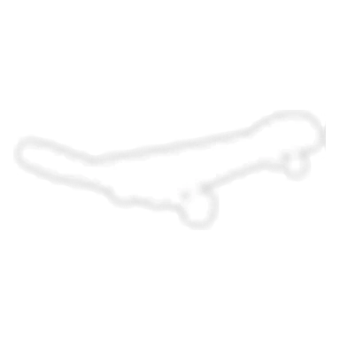 Neon White Skateboard