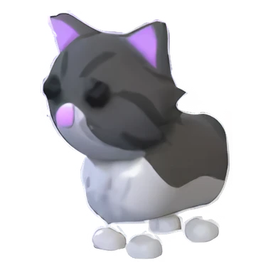 Persian Cat