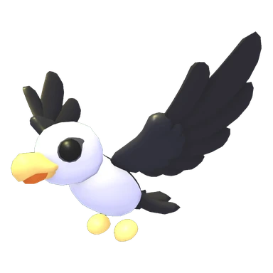 Pilot Gull