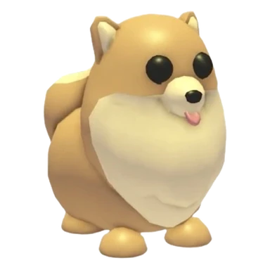 Pomeranian