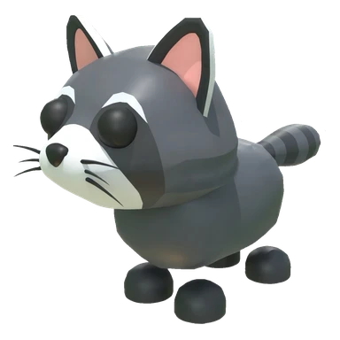 Raccoon