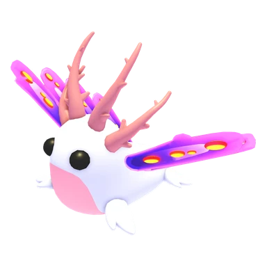 Sea Slug