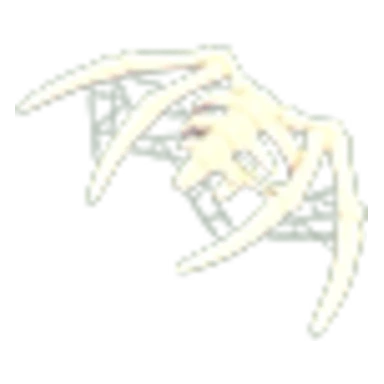 Skeleton Winged Glider