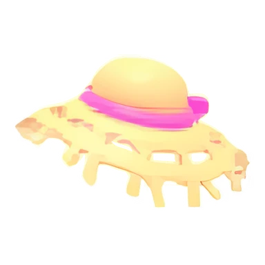 Summer Straw Hat