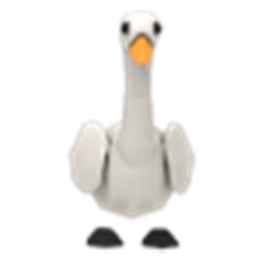 Swan