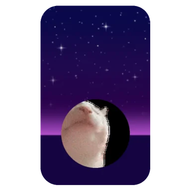 Vibe (Frame Break)